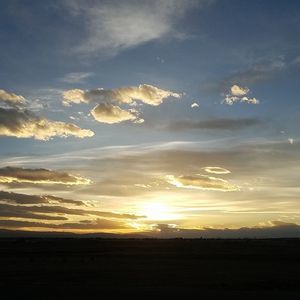 Meet your Posher, Hayley